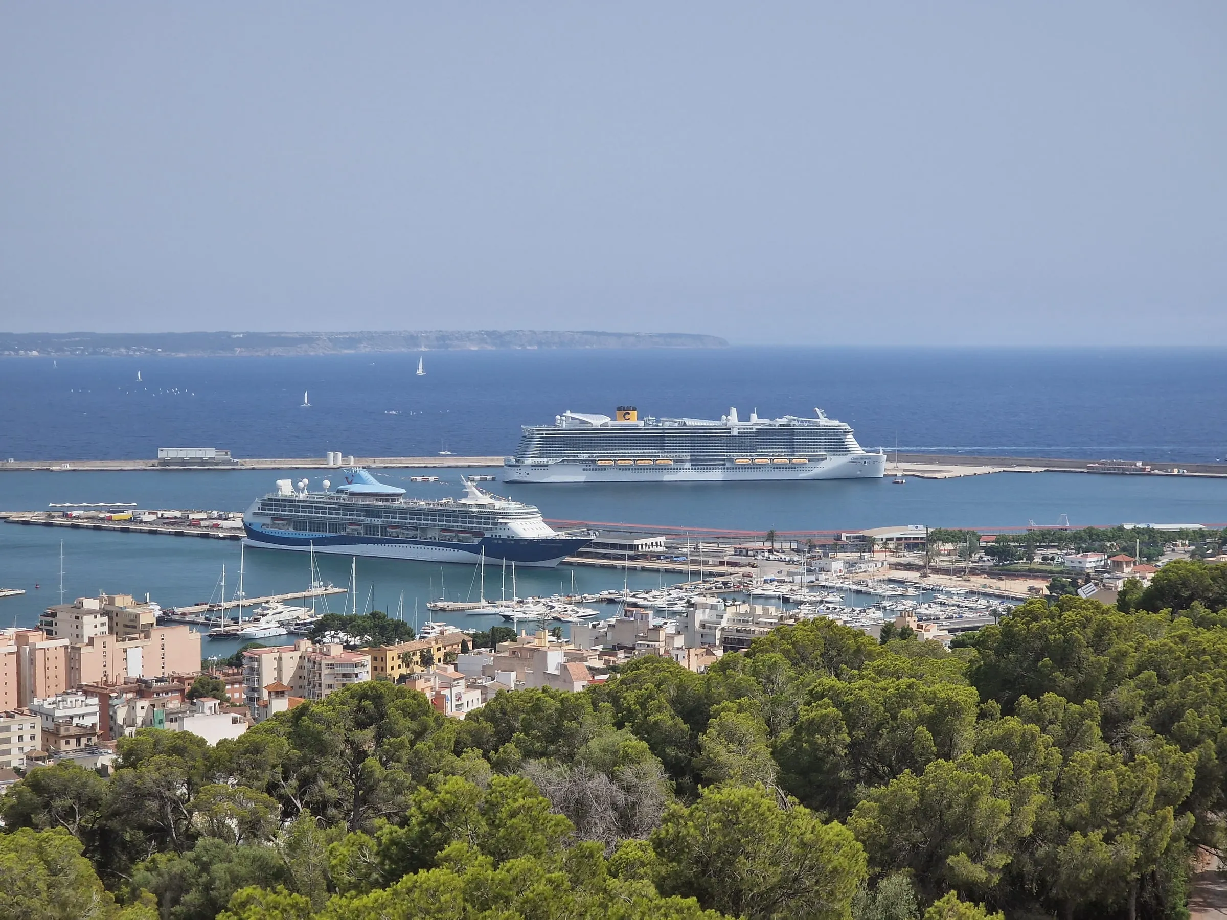 View from above through pine trees over the port of Palma: two large cruise ships at the pier, yachts in the marina, the city and blue sea with sailing boats in the background